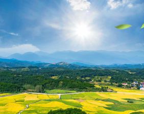 天厚潔能保柴油凈化器：鄉村振興路上的綠色護航者